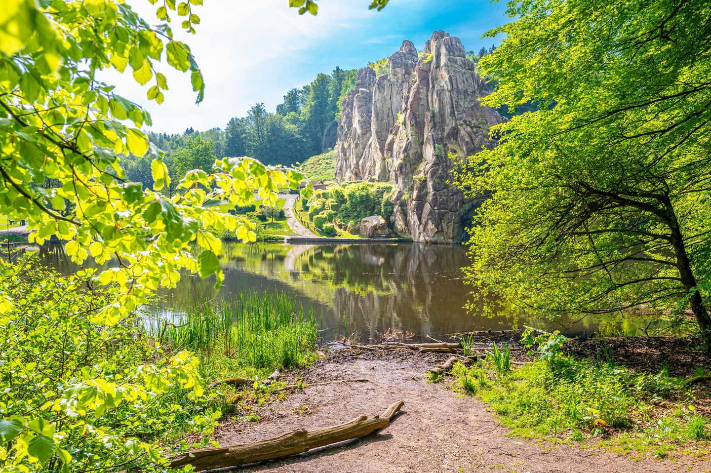 Waldspielgruppe Hintergrund